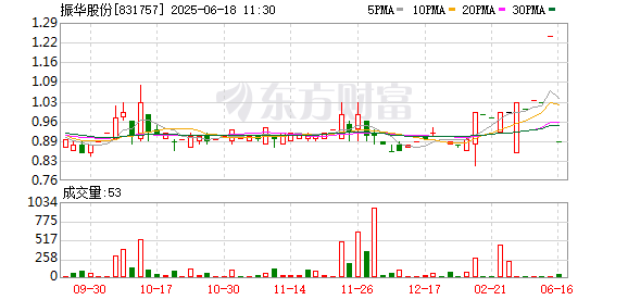 炒股配资平台排名 振华股份：2024年年度权益分派实施公告