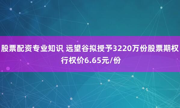股票配资专业知识 远望谷拟授予3220万份股票期权 行权价6.65元/份