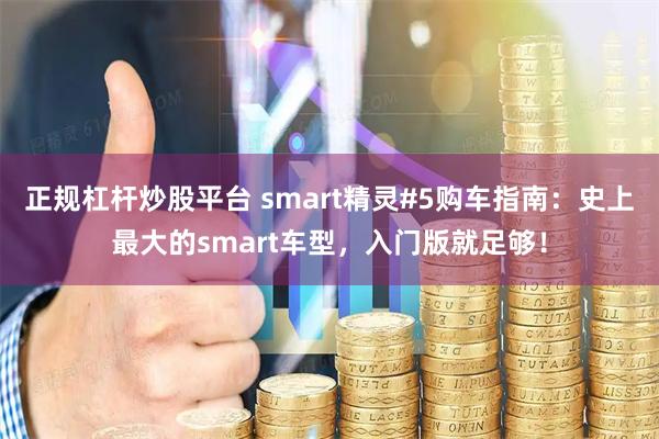正规杠杆炒股平台 smart精灵#5购车指南:史上最大的smart车型,入门版就足够!