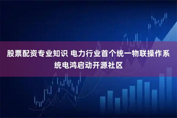 股票配资专业知识 电力行业首个统一物联操作系统电鸿启动开源社区
